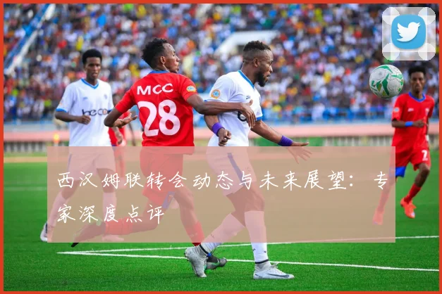 西汉姆联转会动态与未来展望:专家深度点评